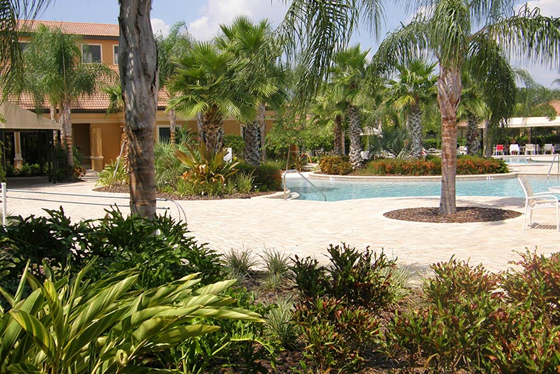 Palm trees and greenery surrounding the resort-style pool at Southshore Falls in Apollo Beach, Florida