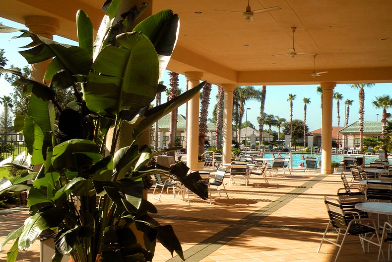 Patio chairs and tables under a lanai in Spruce Creek Country Club of Summerfield, Florida, with a tall green plant in the foreground