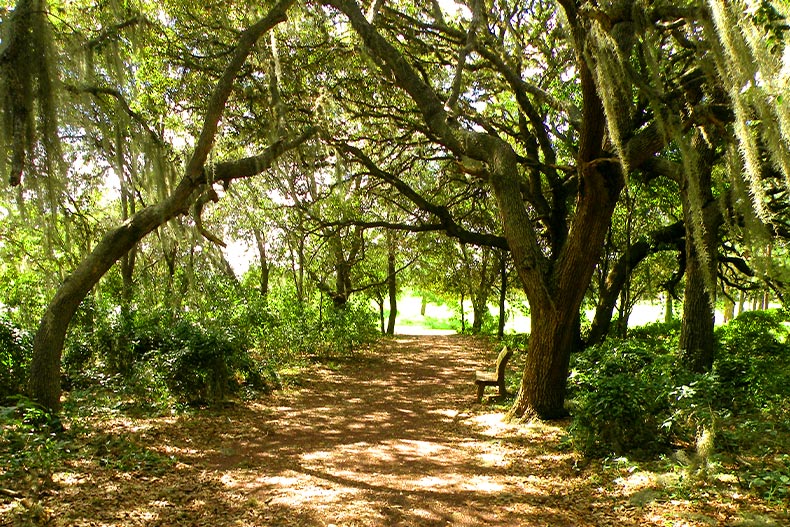 A wooded pathway with a bench and weeping willows, located in the Spruce Creek Country Club 55+ community of Summerfield, Florida