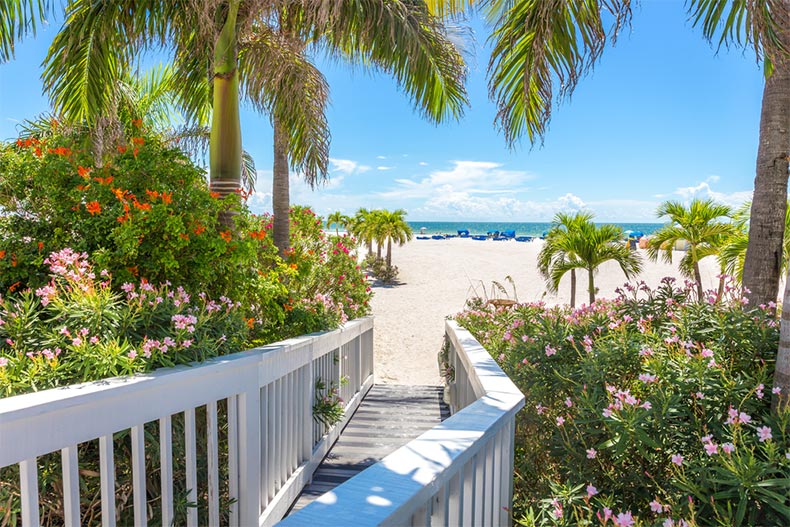 Palm trees and greenery surrounding a boardwalk to a beach in St. Pete, Florida