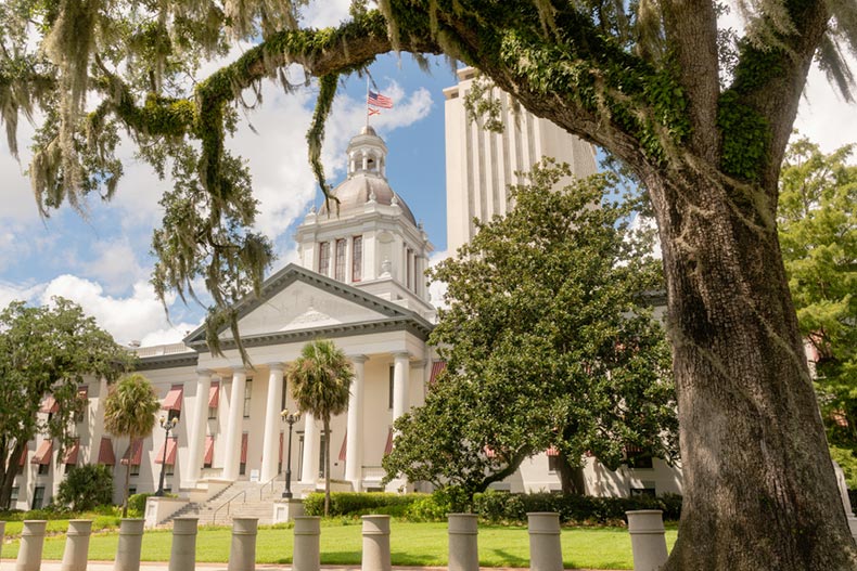 A tree in front of the State Capitol building in Tallahassee, Florida