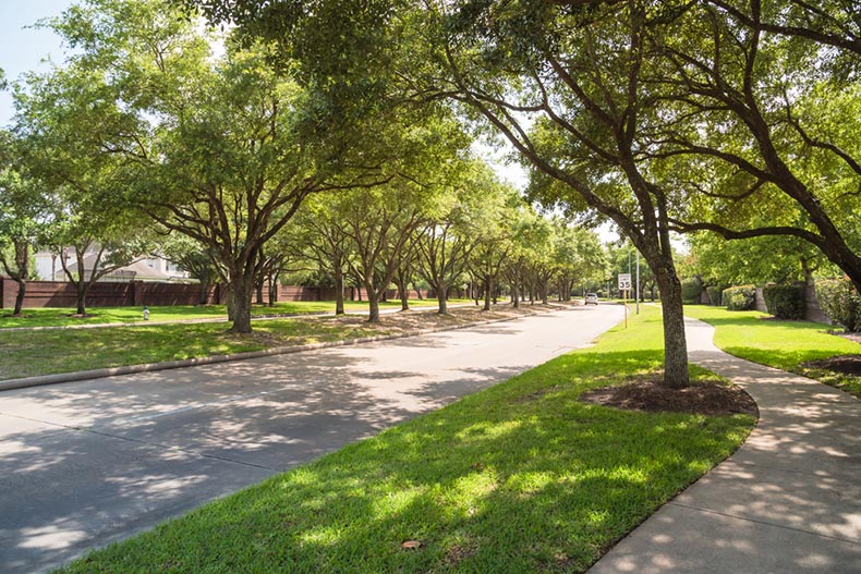 View down a tree-lined street in a suburban residential area in Katy, Texas