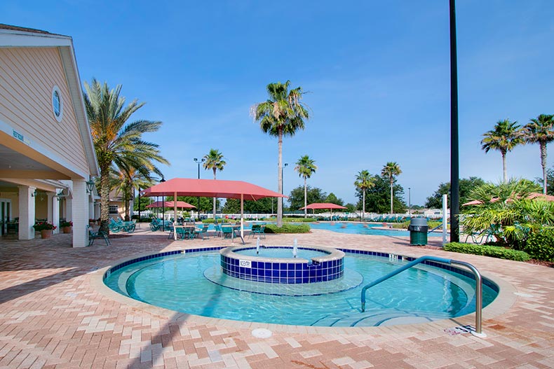 Palm trees surrounding the outdoor pool and hot tub at SummerGlen in Ocala, Florida