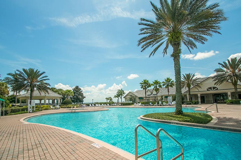 Palm trees surrounding the outdoor pool at Summit Greens in Clermont, Florida