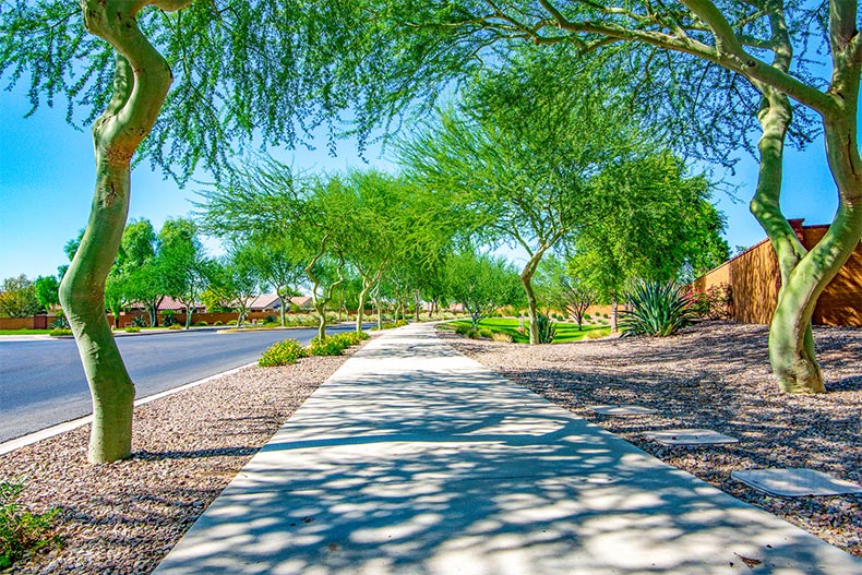 A sidewalk leading down a tree-lined street in Sun City Festival in Buckeye, Arizona