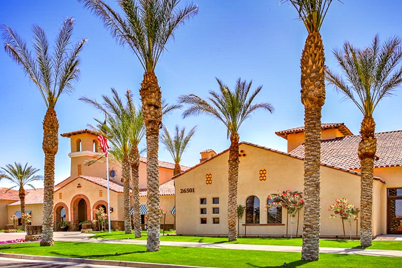 Palm trees surrounding the community buildings at Sun City Festival in Buckeye, Arizona