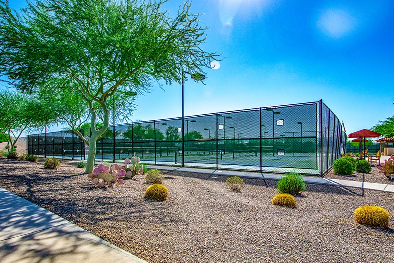 The outdoor tennis courts at Sun City Festival in Buckeye, Arizona