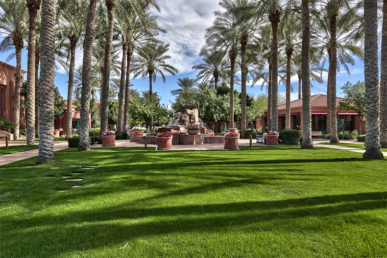 Palm trees surrounding a lawn area at Sun City Grand in Surprise, Arizona