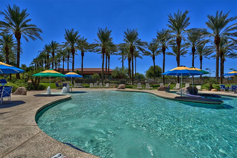 Palm trees surrounding the outdoor pool at Sun City Grand in Surprise, Arizona