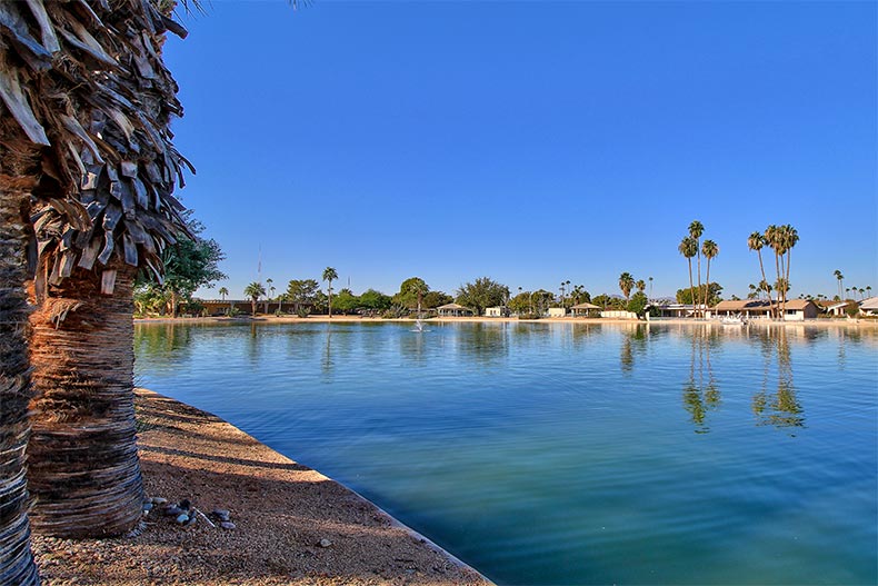 Palm trees surrounding a picturesque lake at Sun City in Arizona