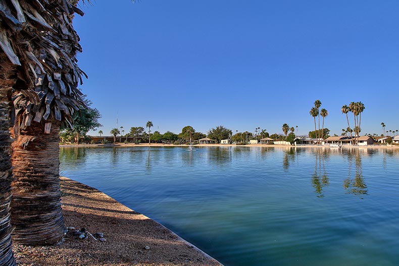 Picturesque view of a pond surrounded by palm trees at Sun City in Arizona