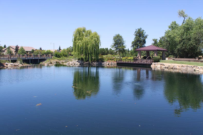A picturesque pond surrounded by landscaped greenery at Sun City Lincoln Hills in Lincoln, California