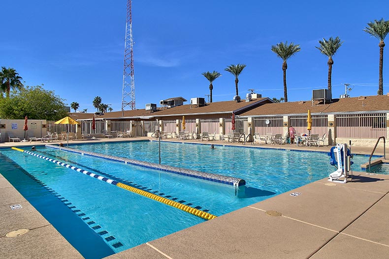 An outdoor pool and patio surrounded by palm trees at Sun City in Arizona