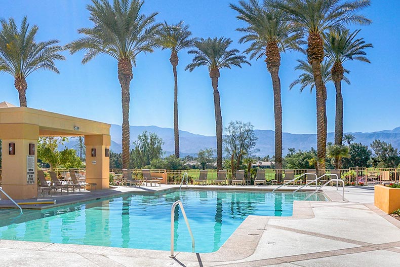 Palm trees surrounding the outdoor pool and patio at Sun City Palm Desert in Palm Desert, California