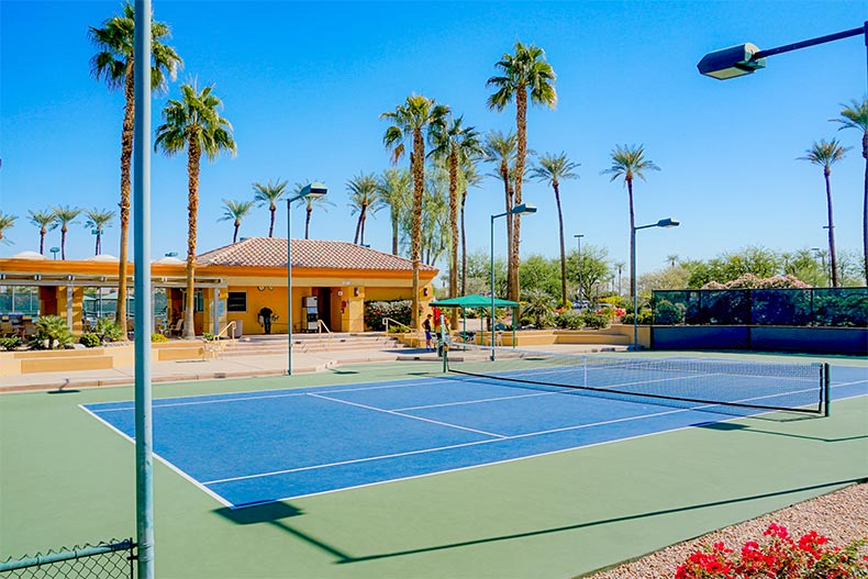 Palm trees surrounding the tennis courts at Sun City Palm Desert in California