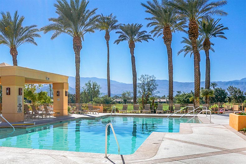 Palm trees surrounding the outdoor pool and patio at Sun City Palm Desert in Palm Desert, California
