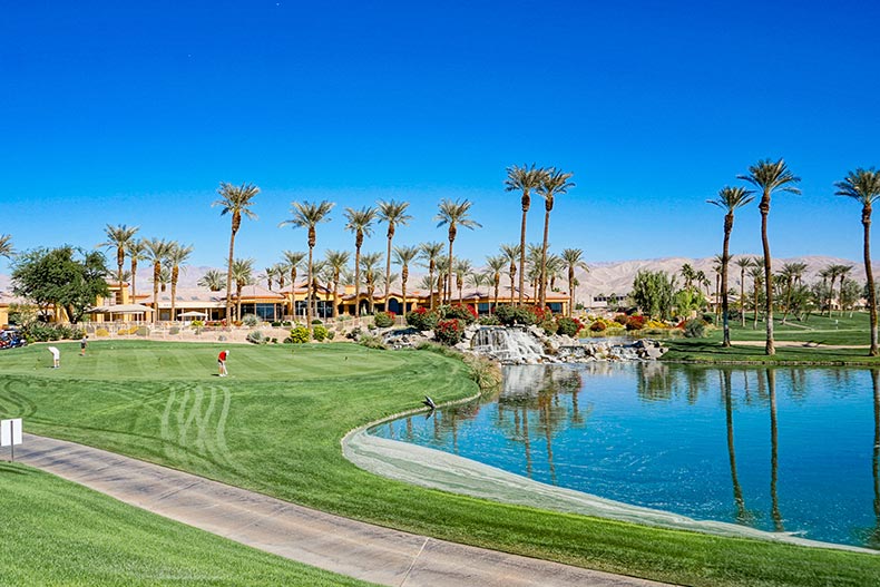 Palm trees and a pond beside the golf course at Sun City Palm Desert in Palm Desert, California