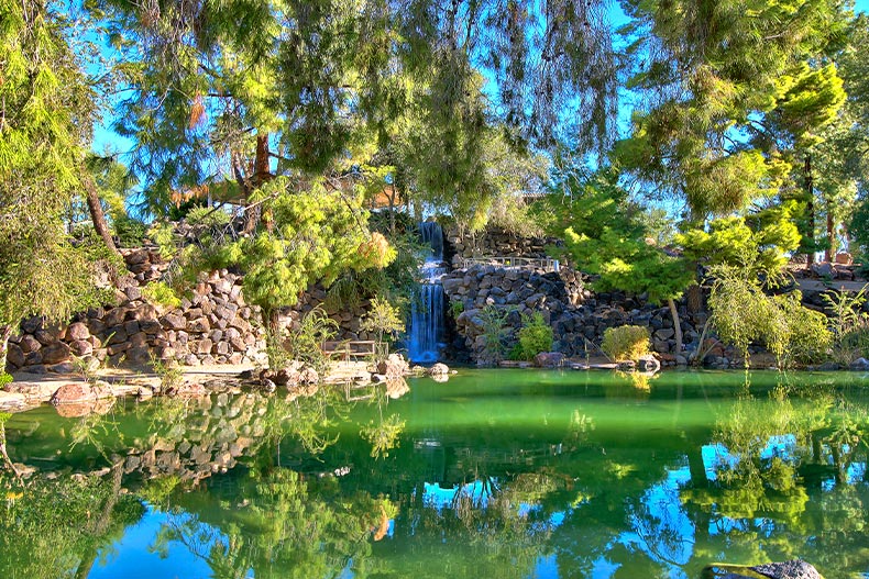 View of a green pond and a flowing rocky waterfall surrounded by green trees in Sun City, Arizona