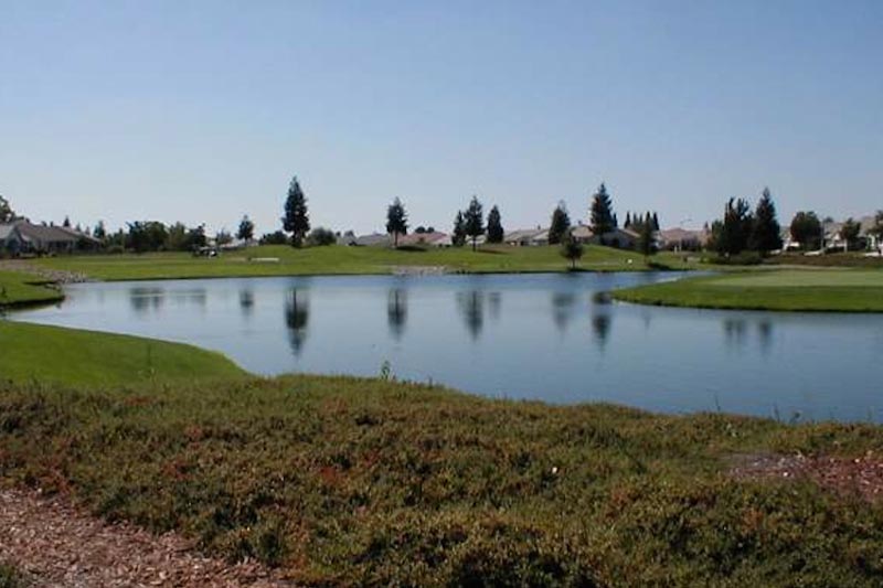 View of the pond at Sun City Roseville on a sunny day with trees and homes in the background.