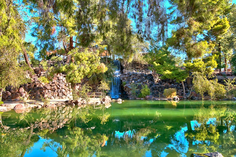 View of a waterfall leading to a green pond surrounded by trees in Sun City, Arizona
