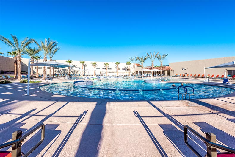 Palm trees surrounding the outdoor pool at Sun City West in Sun City West, Arizona
