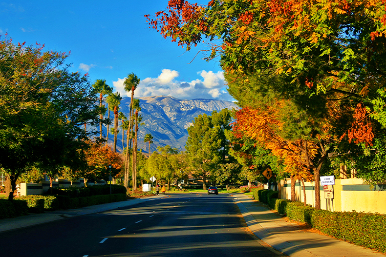 View of a street lined with autumn trees with a mountain and clouds in the background, located in Banning, California