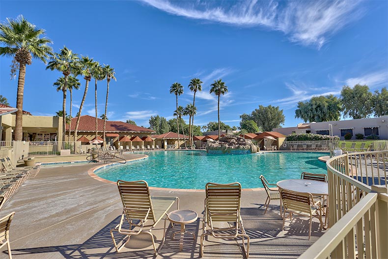 Palm trees surrounding the outdoor pool at Sun Village in Surprise, Arizona