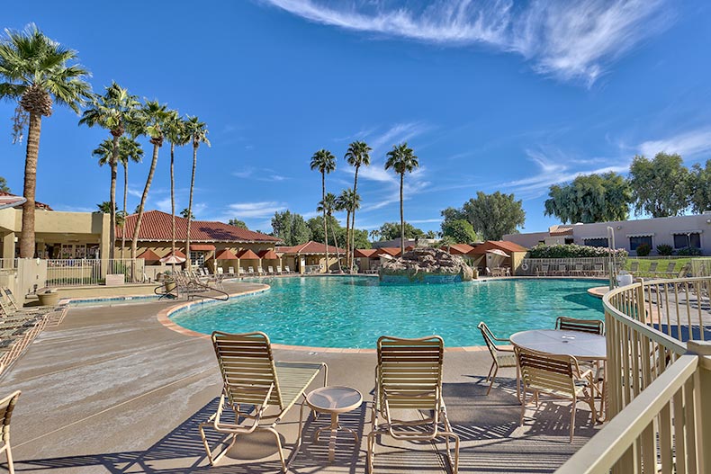 Palm trees beside the outdoor pool at Sun Village in Surprise, Arizona