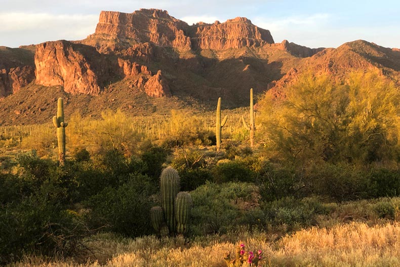 A golden hour view of the Superstition Mountains from a trail in Surprise, Arizona
