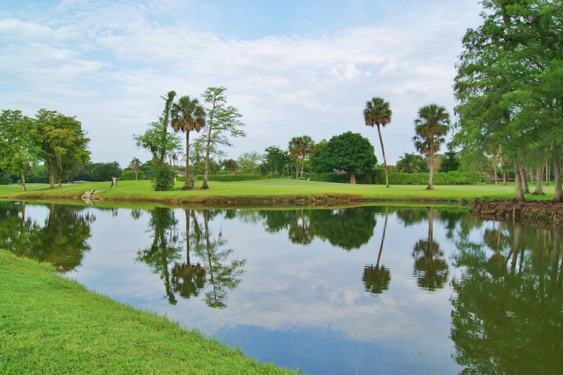 A calm pond on a golf course in Tamarac, Florida