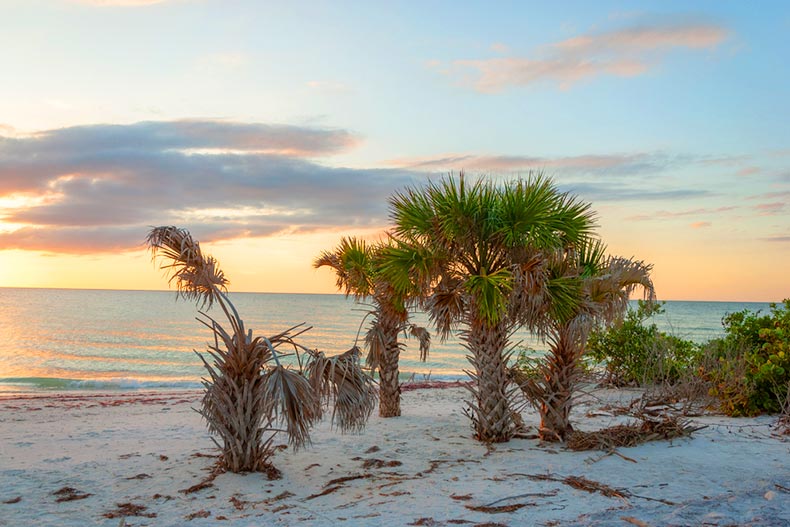 Sunset at the Honeymoon Island State Park in the Tampa Bay Area