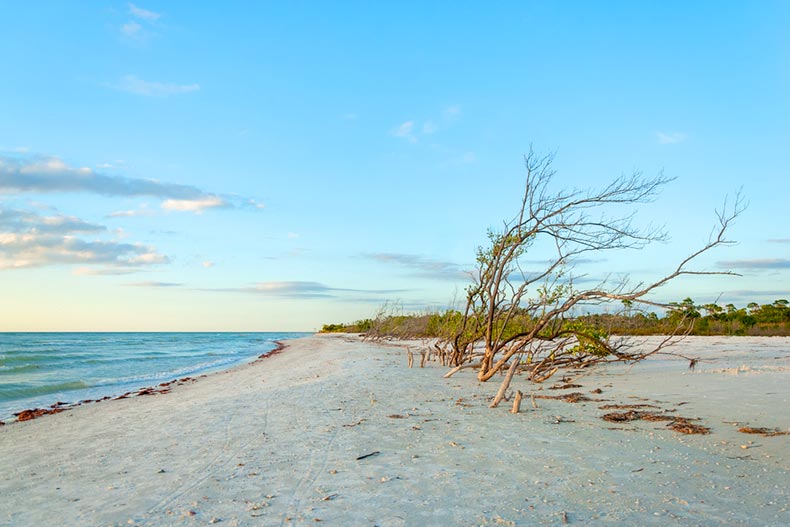 A sunset at Honeymoon Island State Park in the Tampa Bay area