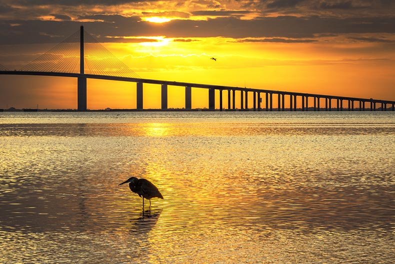 A heron silhouetted at sunrise at the Sunshine Skyway Bridge in St. Petersburg, Florida