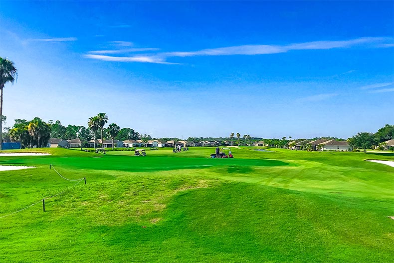 Golf carts on the golf course at Tampa Bay Golf and Country Club in San Antonio, Florida