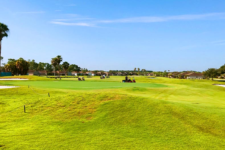 A golf course with several carts located in Tampa Bay Golf & Country Club of San Antonio, Florida