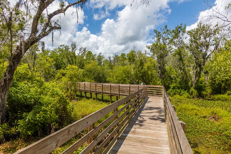 A wooden boardwalk in Lettuce Lake Regional Park in Hillsborough County in Tampa, Florida