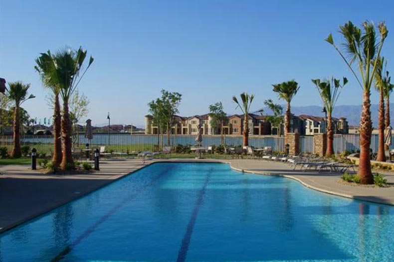 Palm trees surrounding the outdoor pool at Terra Lago in Indio, California