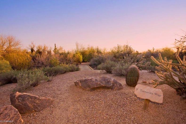 View of the Terravita Way walking trail in the Terravita community of Scottsdale, Arizona, surrounded by desert flora at sunset
