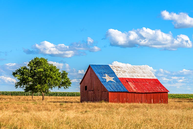 An abandoned barn with the Texas state flag painted on the the roof next to a lone tree on a sunny day