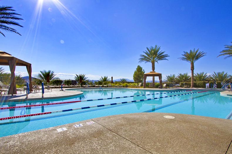 Palm trees surrounding the outdoor pool at Del Webb at North Ranch in North Las Vegas, Nevada