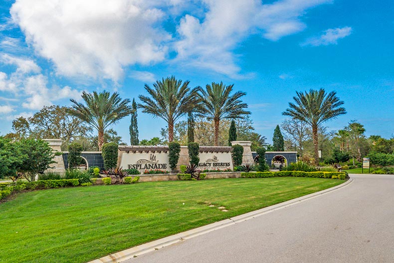 Palm trees beside the community sign for Esplanade on Palmer Ranch in Sarasota, Florida