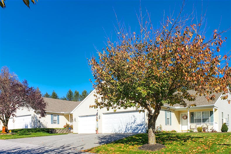 A tree in front of a home at The Paddock at Equine Meadows in Red Lion, Pennsylvania