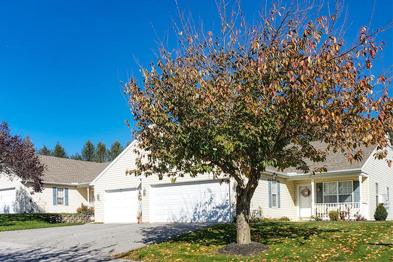 A tree in front of a home at The Paddock at Equine Meadows in Red Lion, Pennsylvania