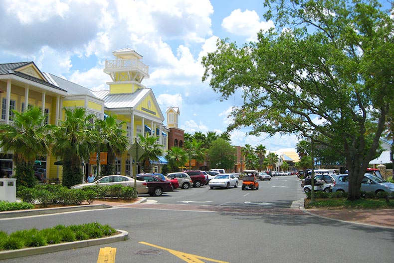 Trees lining a street in The Villages in Florida