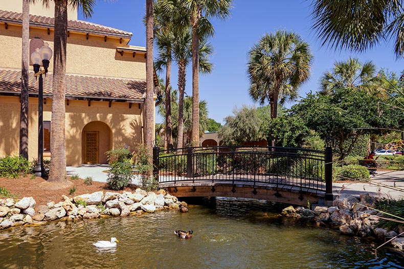 Palm trees surrounding a bridge over a picturesque pond in The Villages, Florida