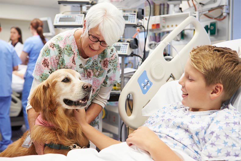 A senior woman bringing a therapy dog to visit a sick boy in a hospital