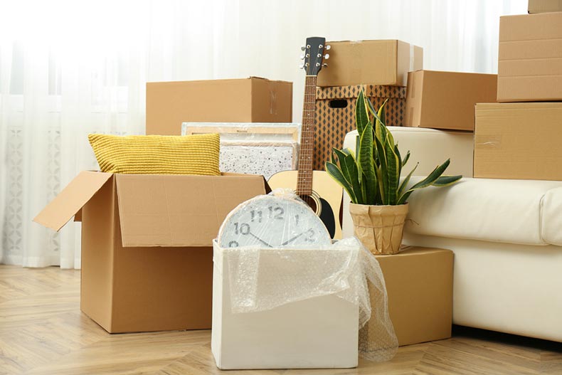 Household stuff in cardboard boxes and potted plants ready for moving day