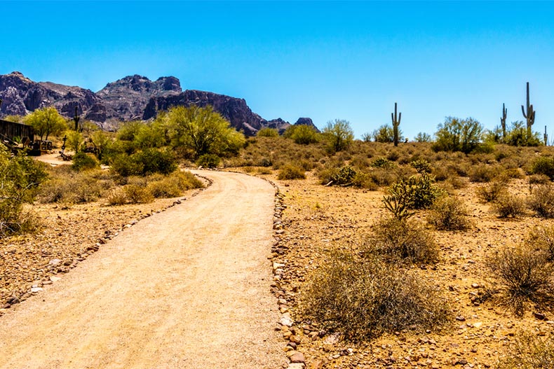 Path in the desert at Lost Dutchman State Park in Arizona