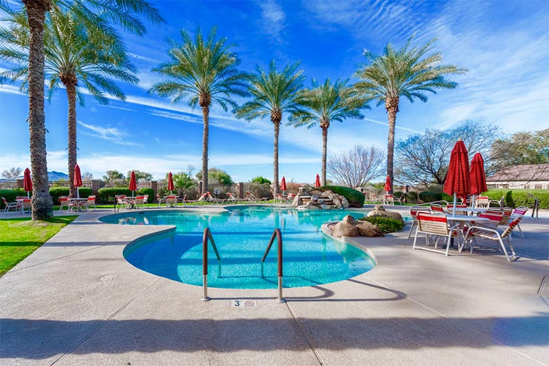 Palm trees surrounding the outdoor pool at Trilogy at Power Ranch in Gilbert, Arizona