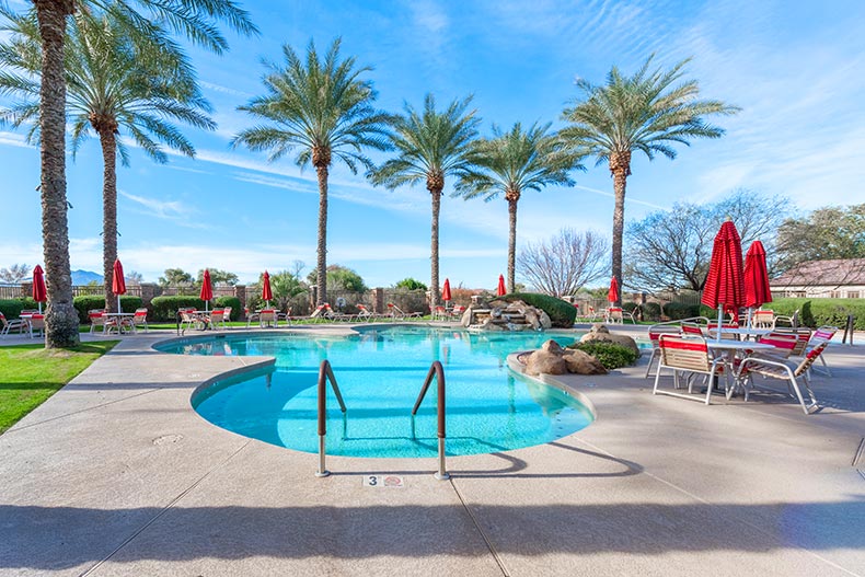 Palm trees surrounding an outdoor pool and patio at Trilogy at Power Ranch in Gilbert, Arizona